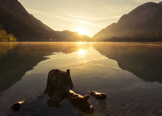 Sommer in unserer Region