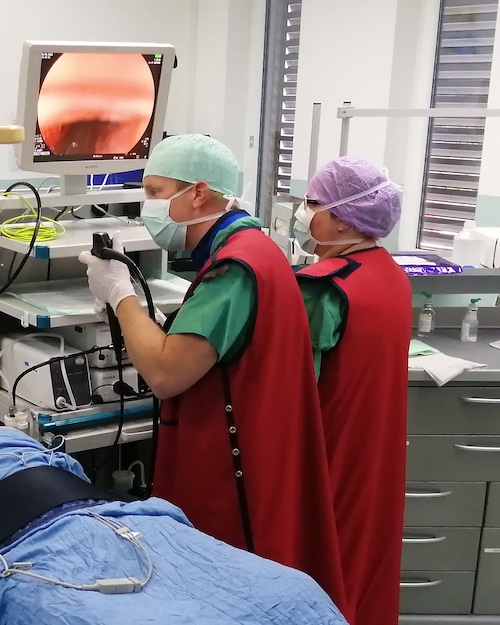 Innere Medizin Karriere und Ausbildung