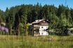 Sommer in unserer Region