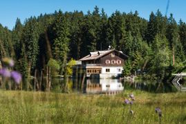 Sommer in unserer Region