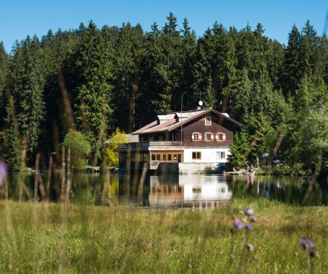 Sommer in unserer Region