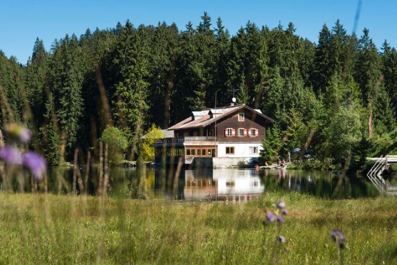 Sommer in unserer Region
