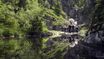 Sommer in unserer Region