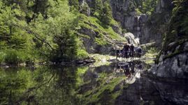 Sommer in unserer Region